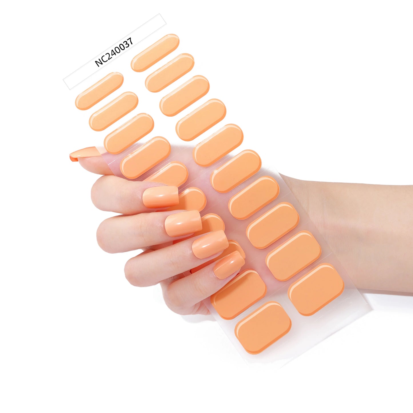 Pastel Orange
