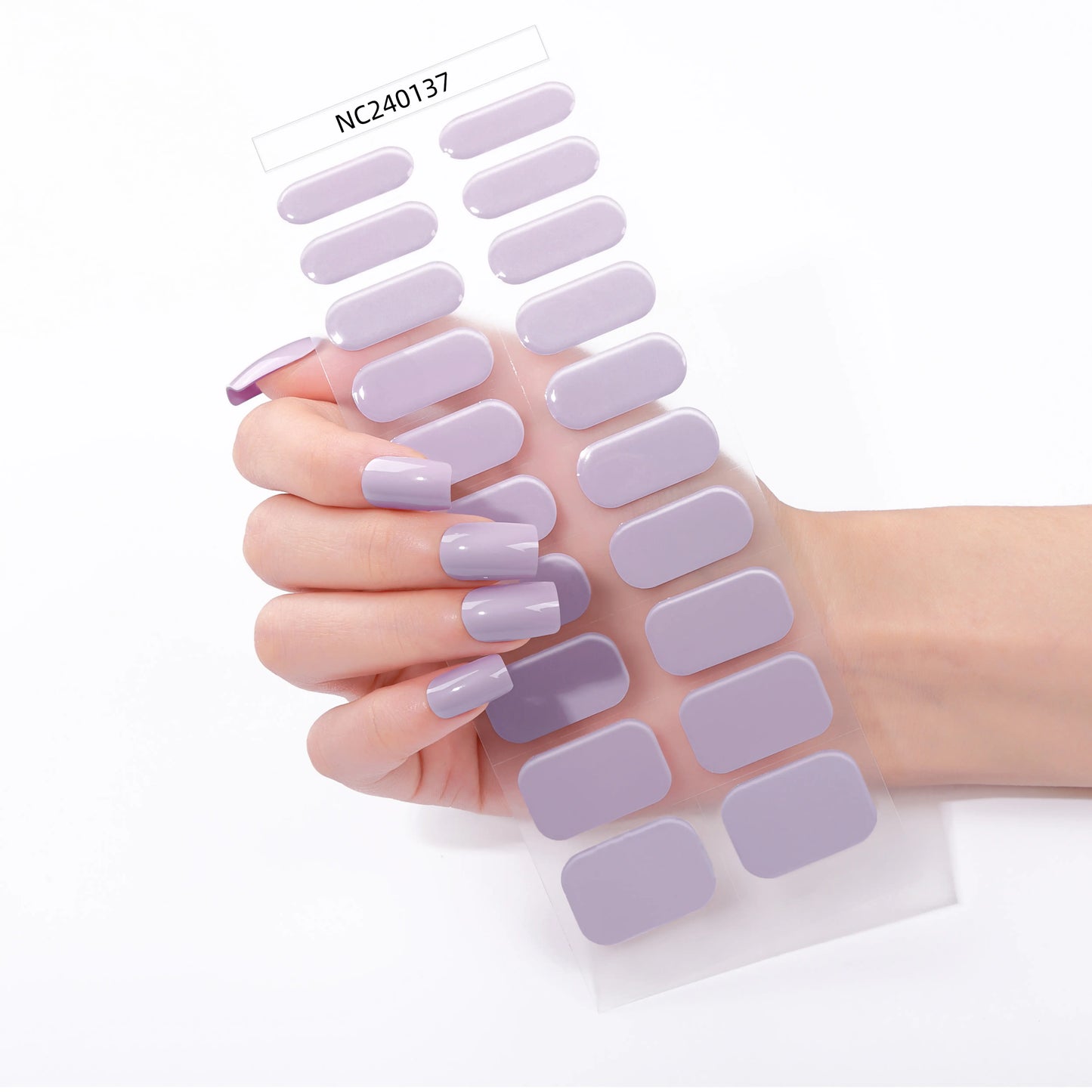 Lilac Purple