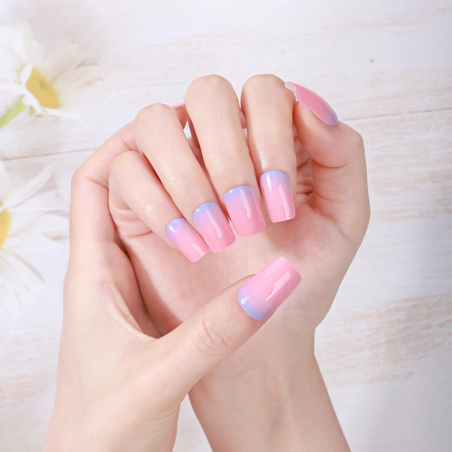 Pastel Dreams Ombre